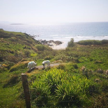 Anne'S Thatched Cottage Kilcar Εξωτερικό φωτογραφία